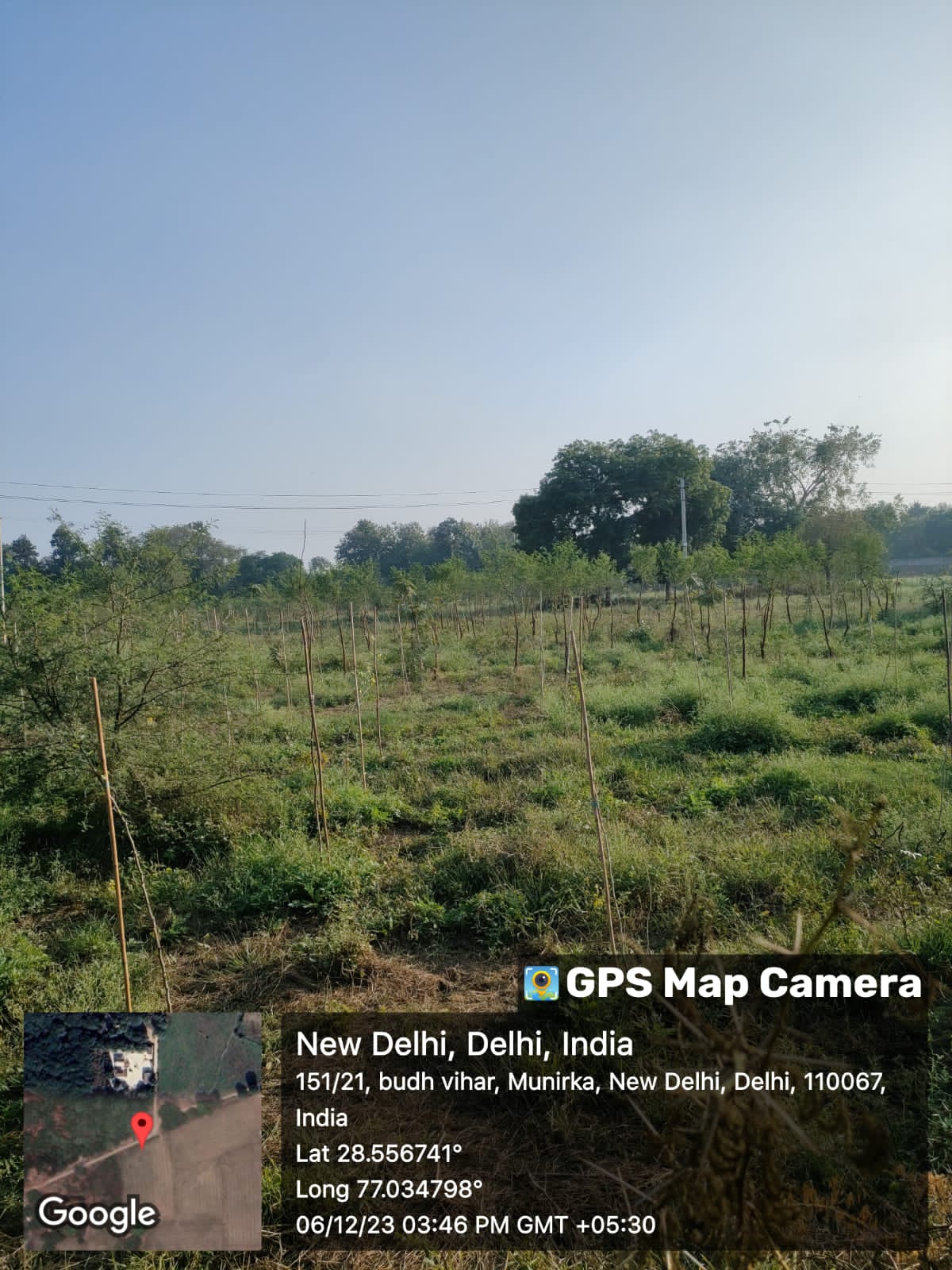 Compensatory Afforestation